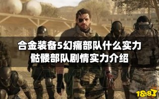  合金装备5活捉骷髅兵怎么打,合金装备5装甲骷髅怎么抓？